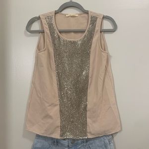 Beige Blush Top with Silver Sequins